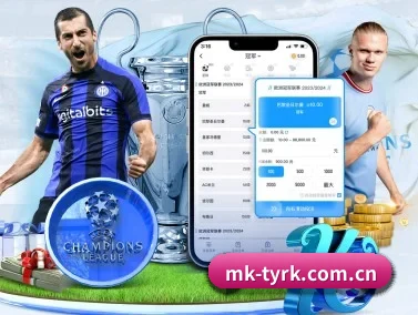 MK体育入口 APP